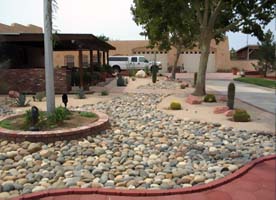 Xeriscaping
